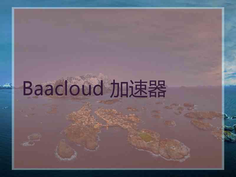 Baacloud 加速器