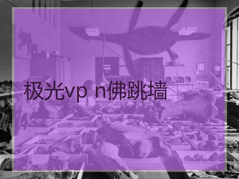 极光vp n佛跳墙