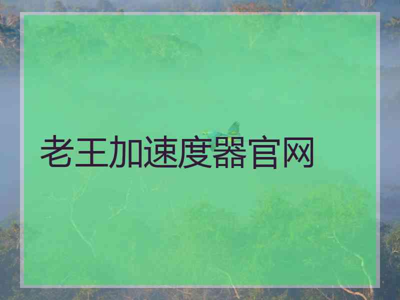 老王加速度器官网