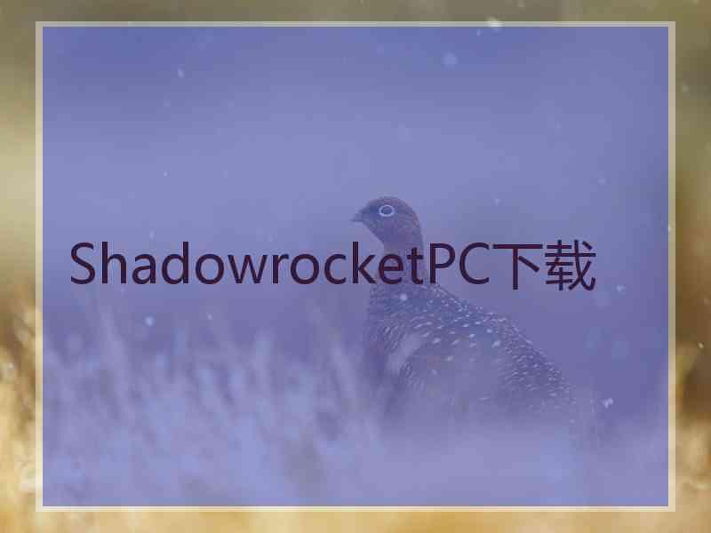 ShadowrocketPC下载