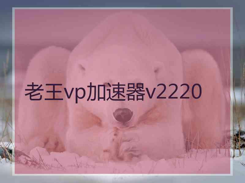 老王vp加速器v2220