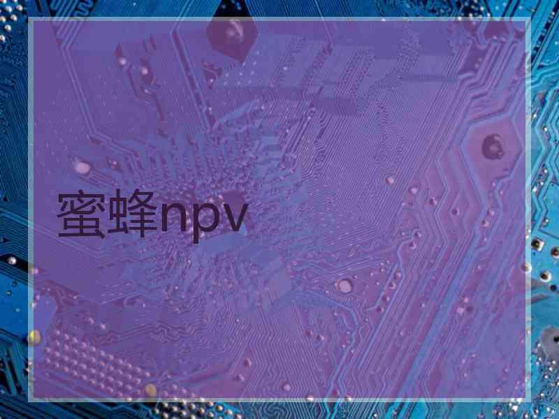 蜜蜂npv