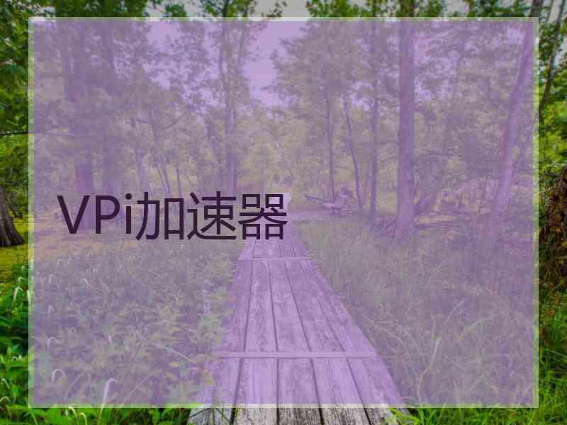 VPi加速器