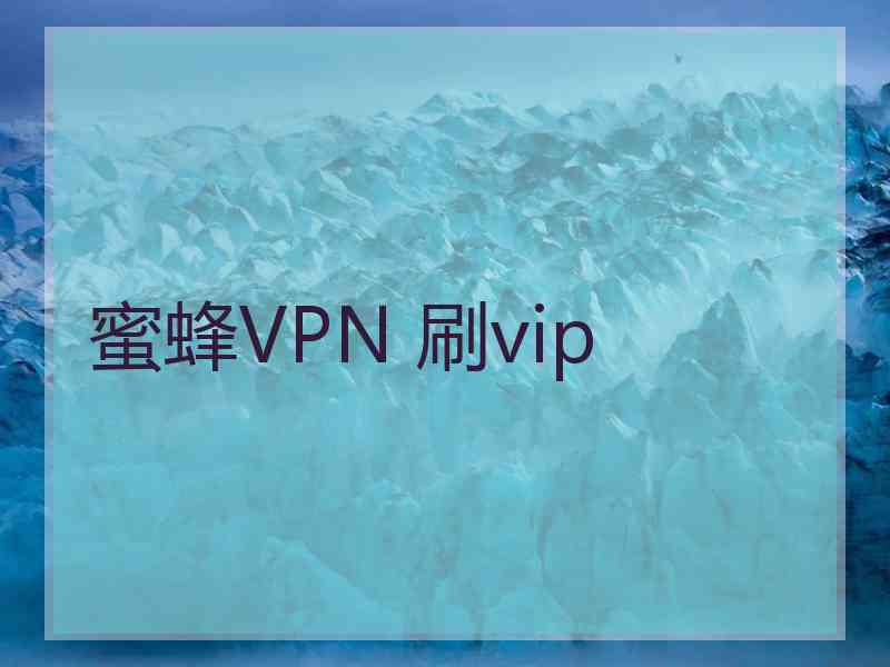 蜜蜂VPN 刷vip