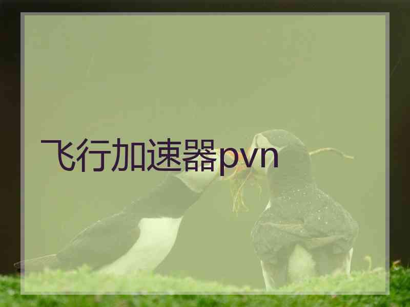 飞行加速器pvn