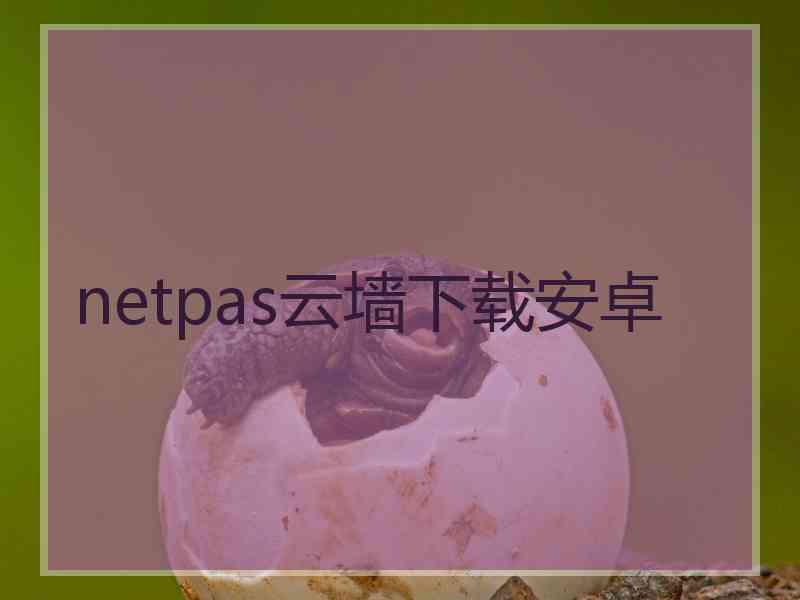 netpas云墙下载安卓