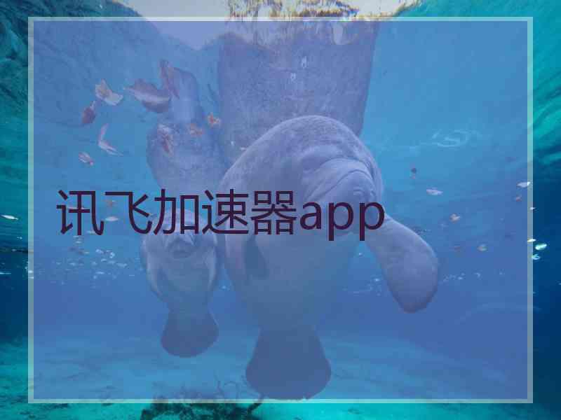 讯飞加速器app