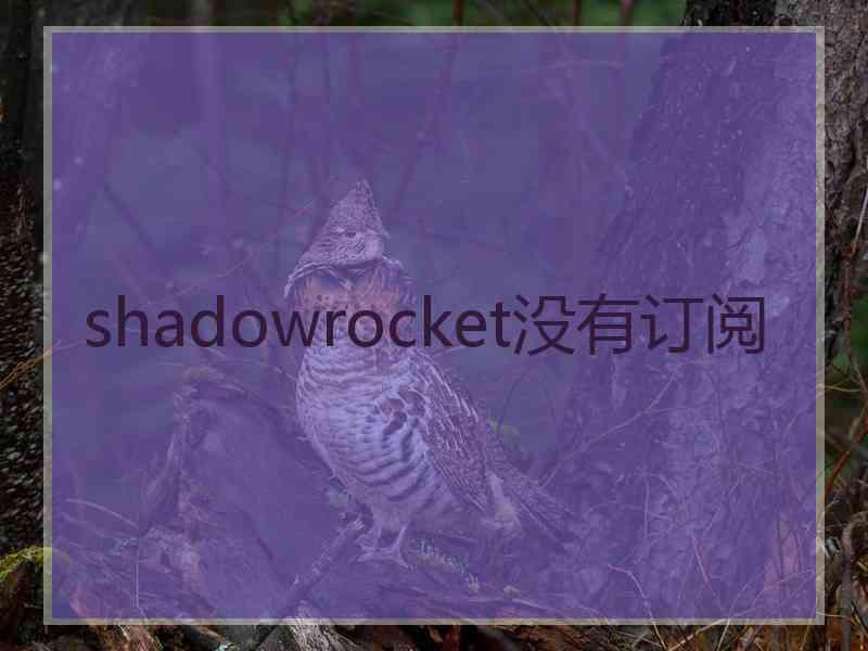 shadowrocket没有订阅