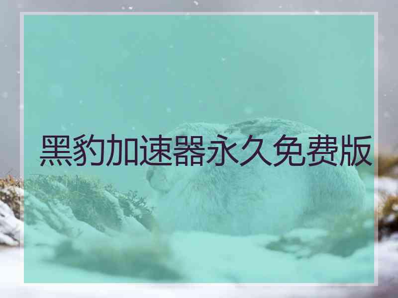 黑豹加速器永久免费版