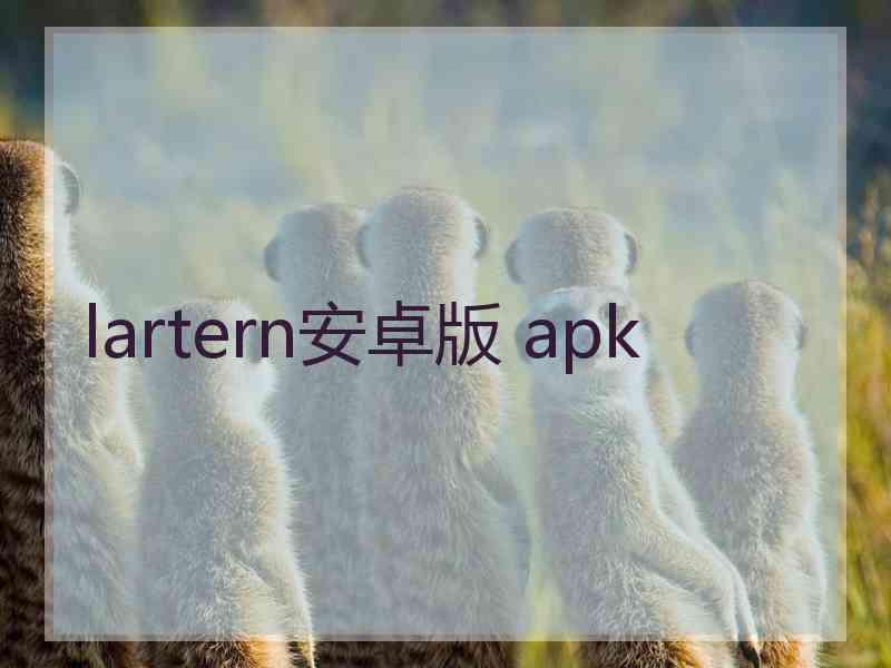 lartern安卓版 apk