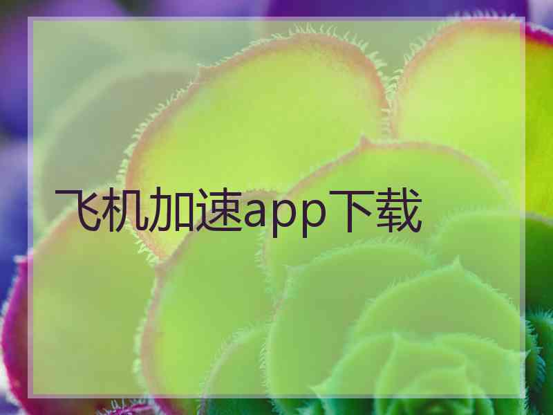 飞机加速app下载