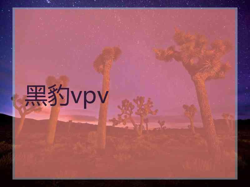 黑豹vpv