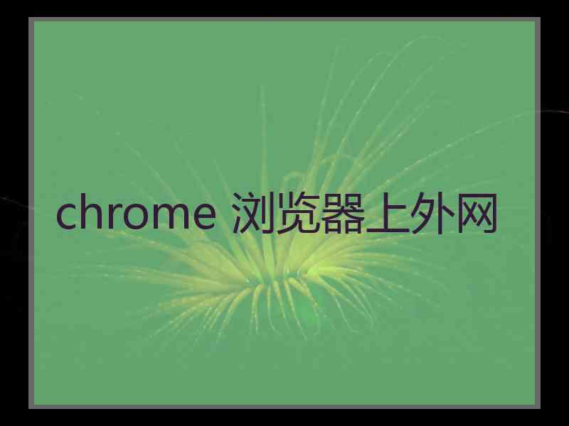 chrome 浏览器上外网