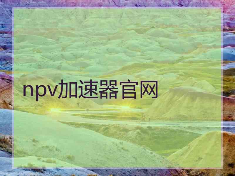 npv加速器官网