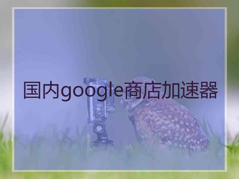 国内google商店加速器