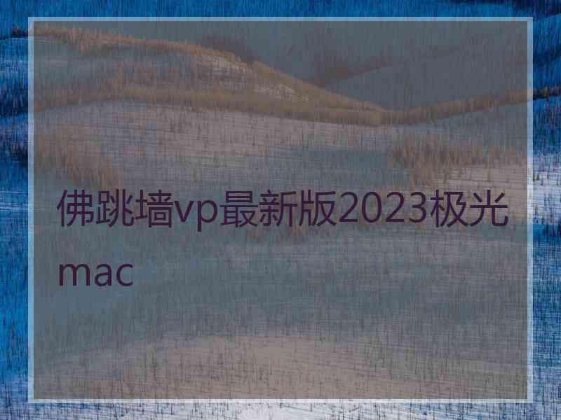 佛跳墙vp最新版2023极光 mac