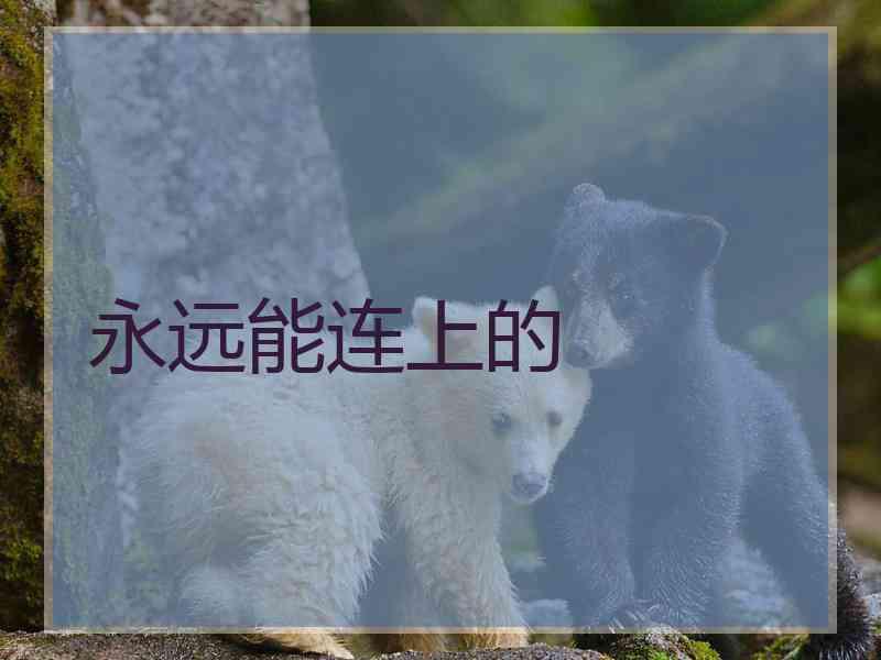 永远能连上的