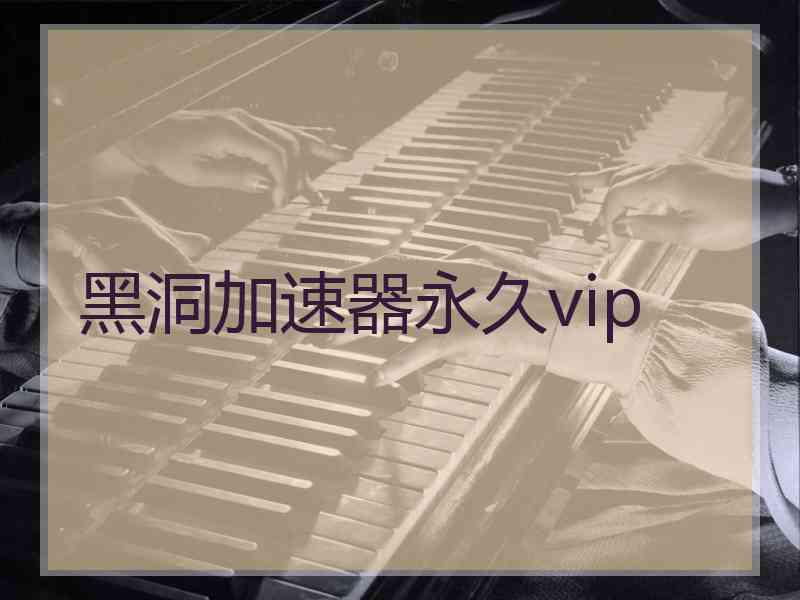 黑洞加速器永久vip