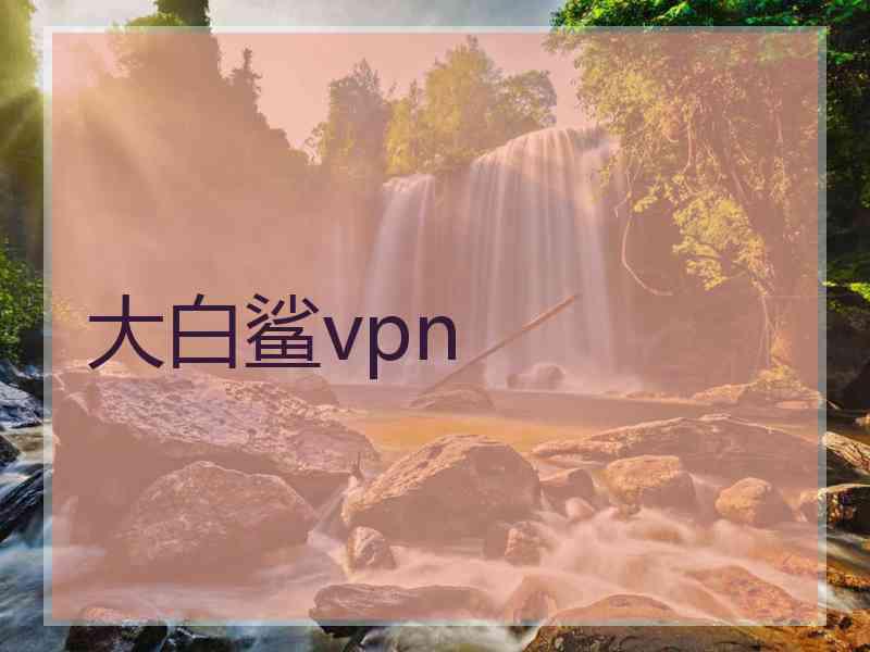 大白鲨vpn