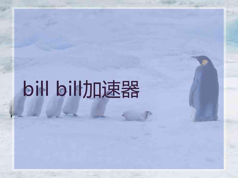 bill bill加速器