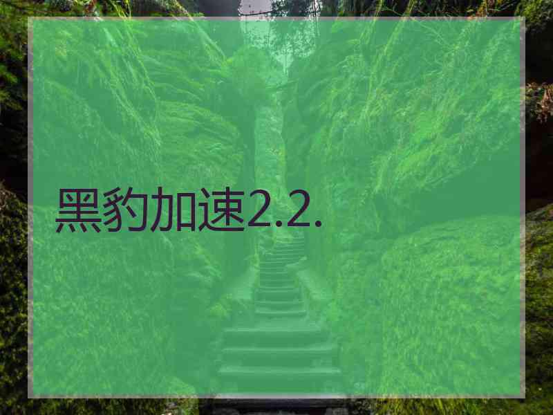 黑豹加速2.2.