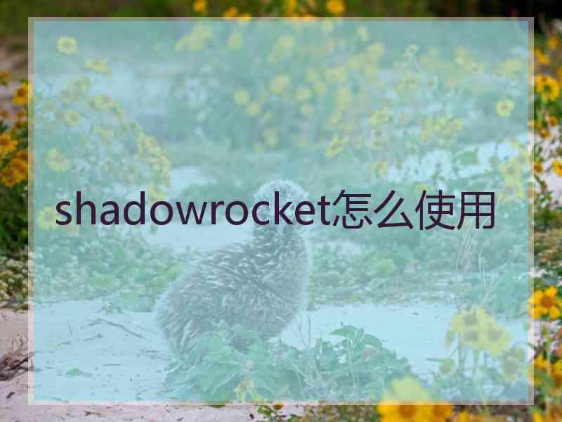 shadowrocket怎么使用