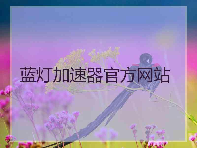 蓝灯加速器官方网站