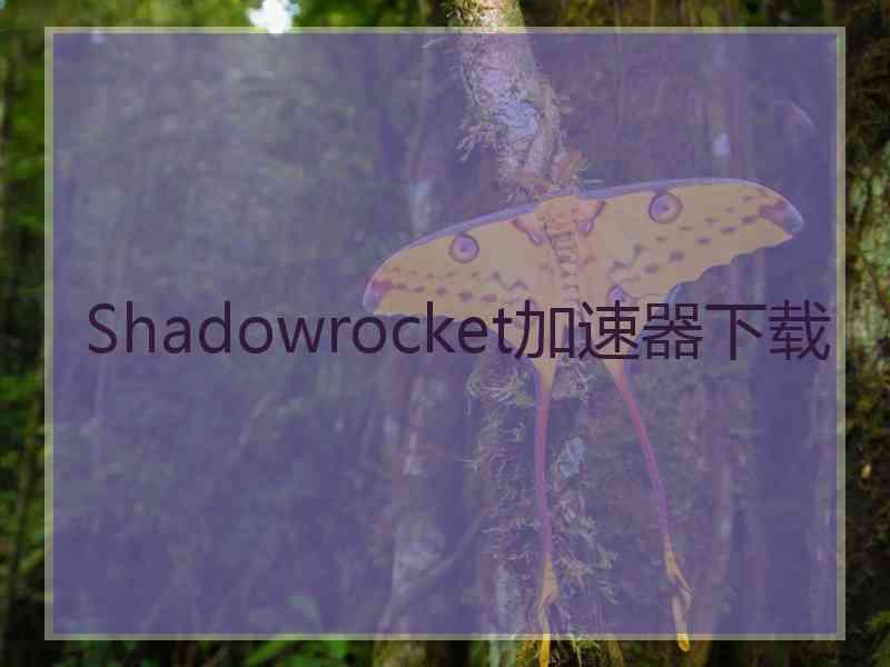 Shadowrocket加速器下载