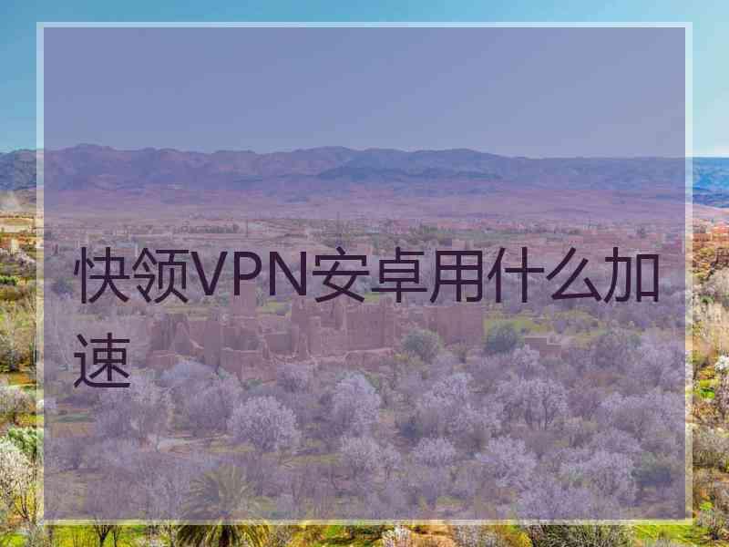 快领VPN安卓用什么加速