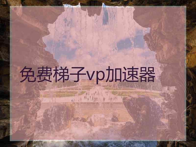 免费梯子vp加速器