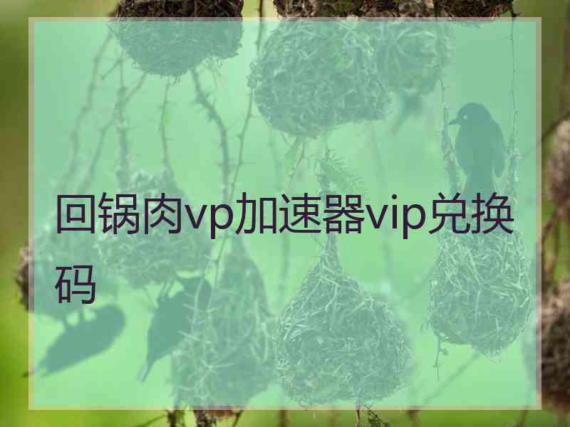 回锅肉vp加速器vip兑换码