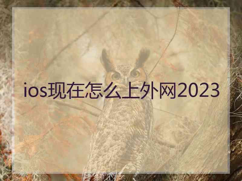 ios现在怎么上外网2023