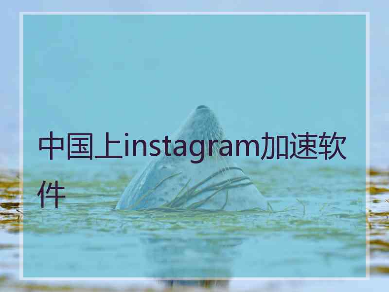 中国上instagram加速软件