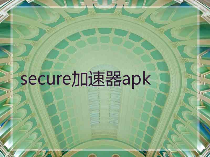 secure加速器apk