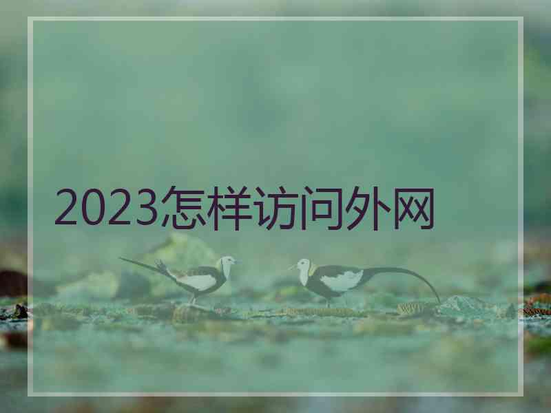 2023怎样访问外网