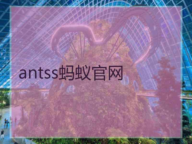 antss蚂蚁官网