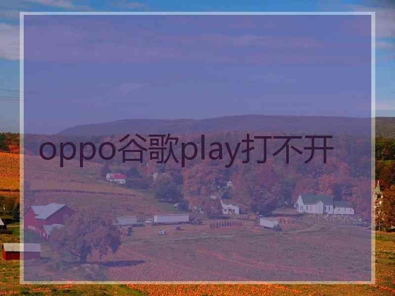 oppo谷歌play打不开