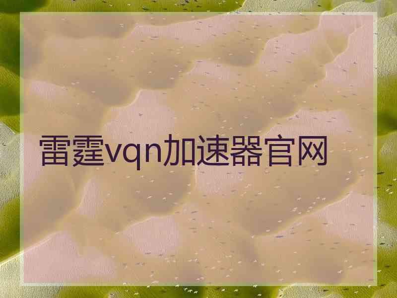 雷霆vqn加速器官网