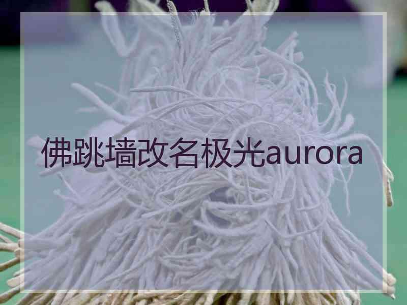 佛跳墙改名极光aurora