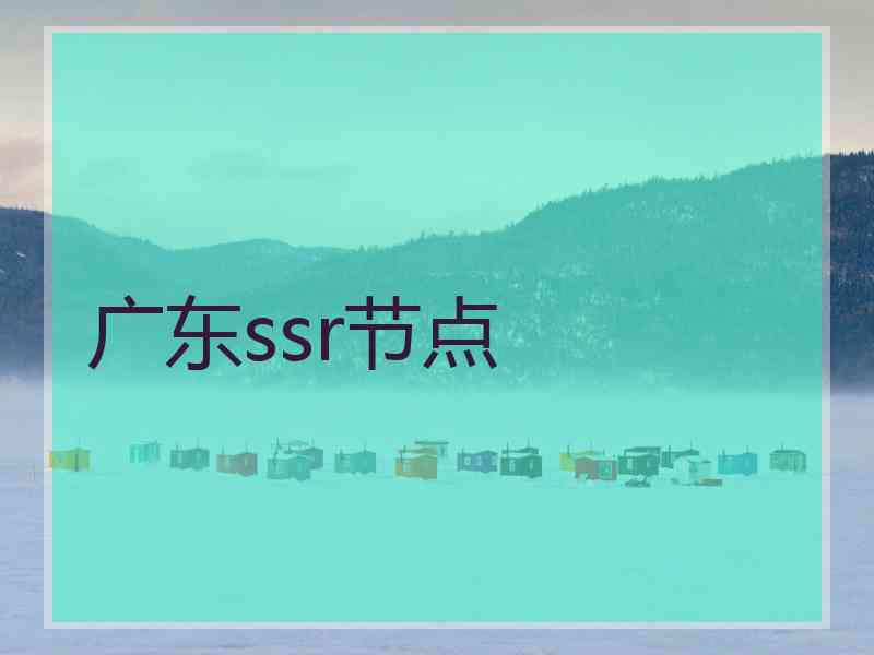 广东ssr节点