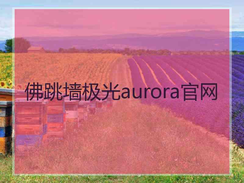 佛跳墙极光aurora官网