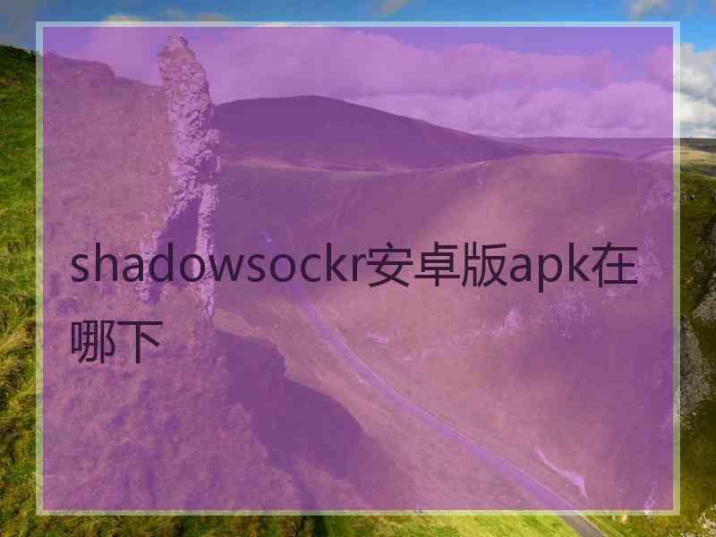 shadowsockr安卓版apk在哪下