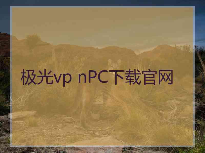 极光vp nPC下载官网