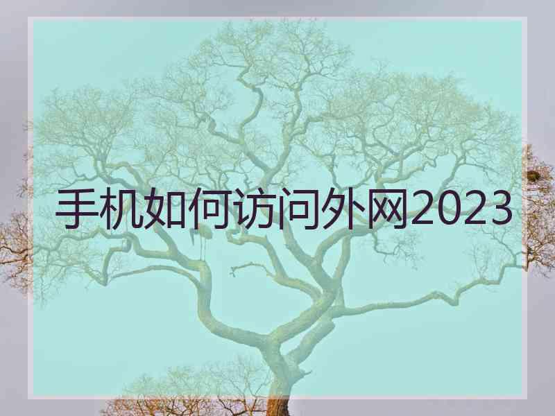 手机如何访问外网2023