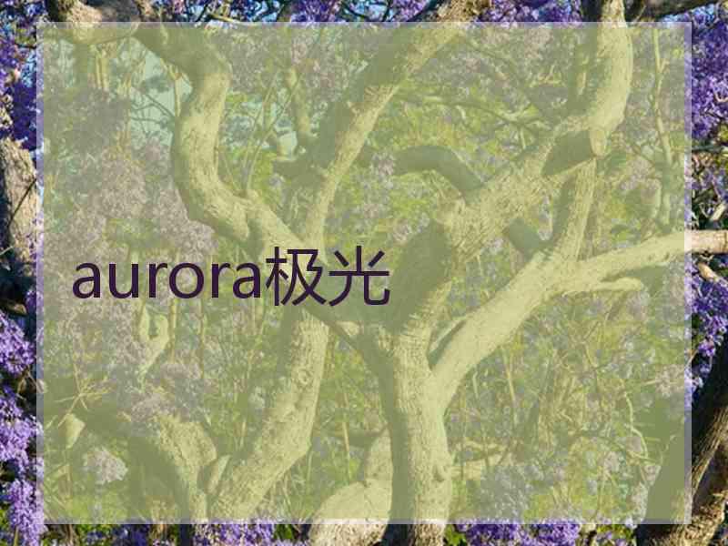 aurora极光