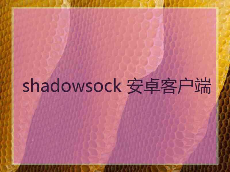 shadowsock 安卓客户端