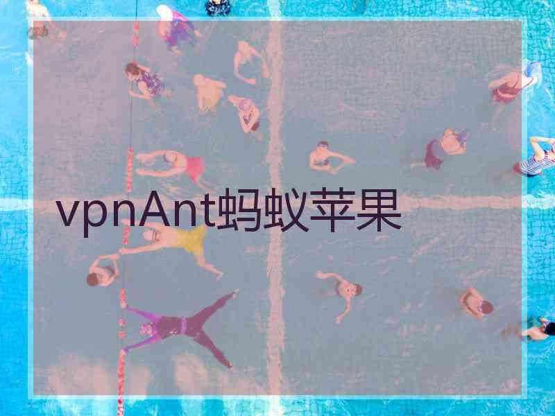 vpnAnt蚂蚁苹果