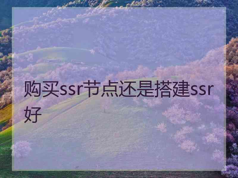 购买ssr节点还是搭建ssr好