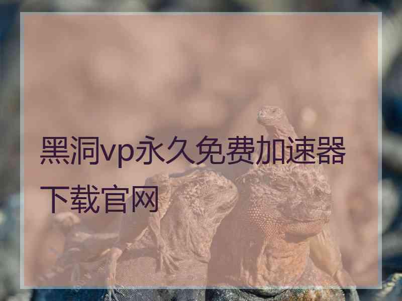 黑洞vp永久免费加速器下载官网