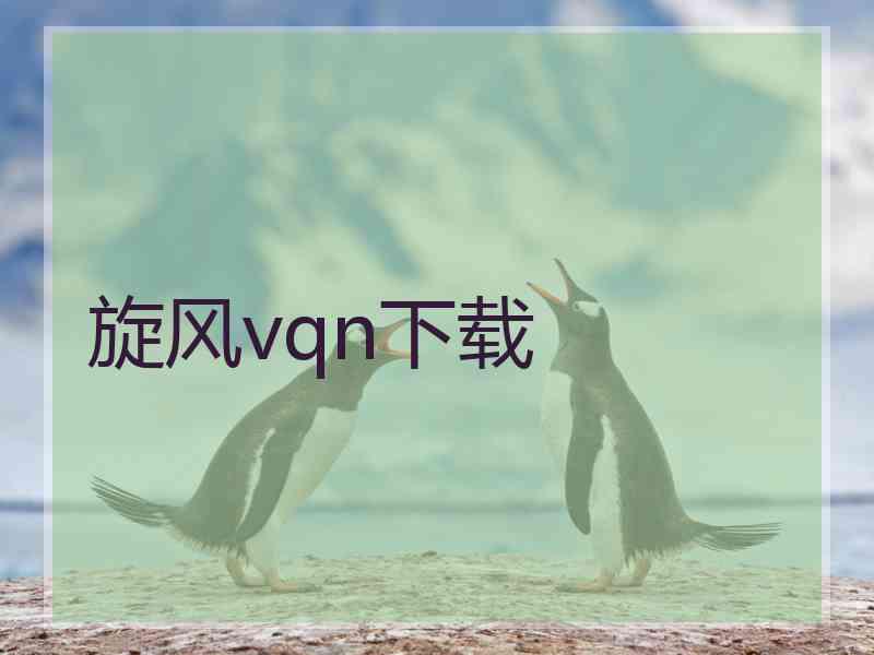 旋风vqn下载